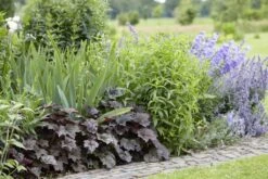 Borderpakket In Paarstinten