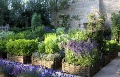 Borderpakket Kruidentuin (4 M²)