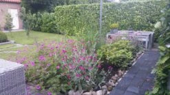 Borderpakket Zacht Roze -OL Planten Winkel jose van de kolk 2